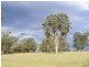 1258 BUNDARRA ROAD, Invergowrie NSW 2350