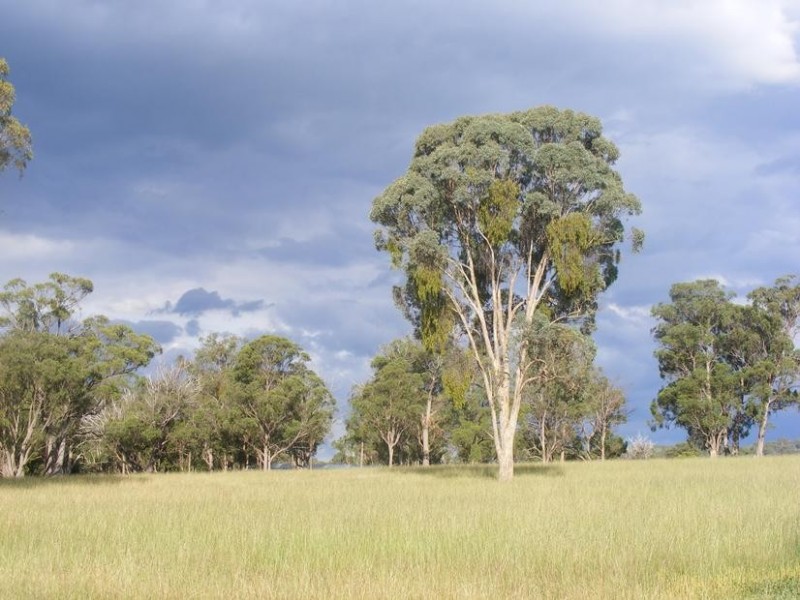 1258 BUNDARRA ROAD, Invergowrie NSW 2350