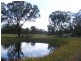 1258 BUNDARRA ROAD, Invergowrie NSW 2350