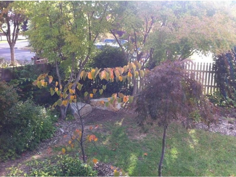 185 Marsh Street, Armidale NSW 2350