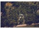 186 KALINDA ROAD, Invergowrie NSW 2350