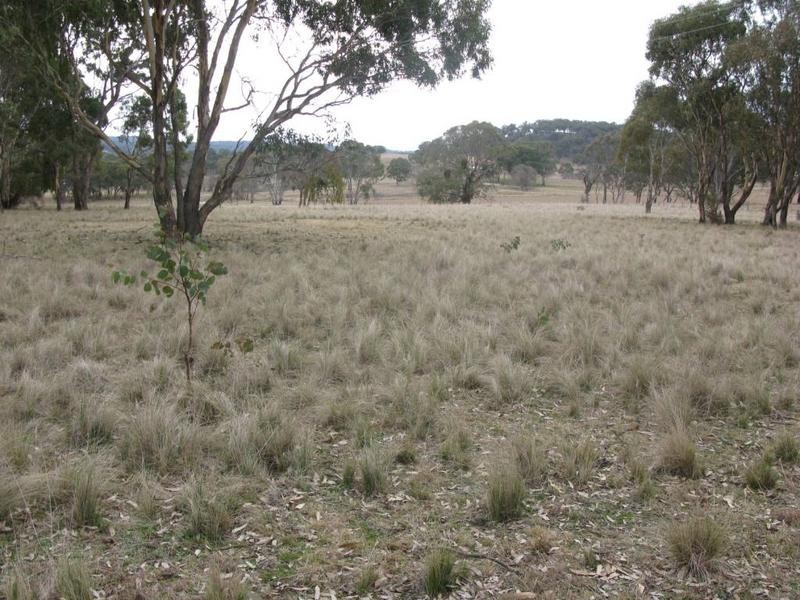 922 PUDDLEDOCK ROAD, Armidale NSW 2350