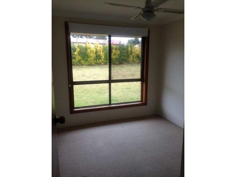 7 Douglas Street, Armidale NSW 2350