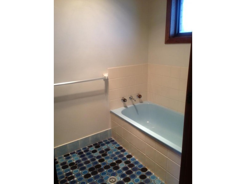 7 Douglas Street, Armidale NSW 2350