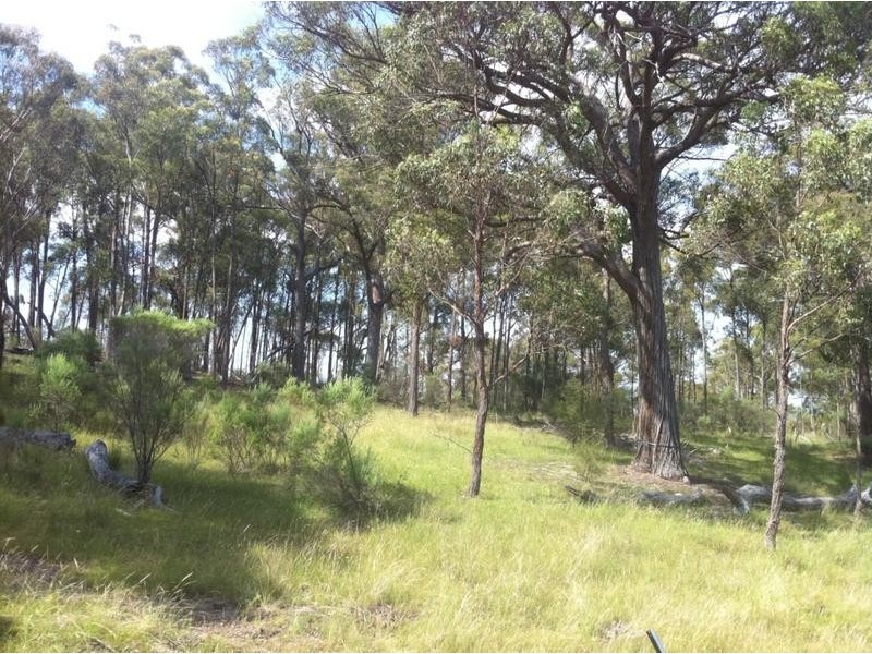 Lot 1,  KAREELA ROAD, Invergowrie NSW 2350