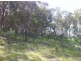Lot 1,  KAREELA ROAD, Invergowrie NSW 2350