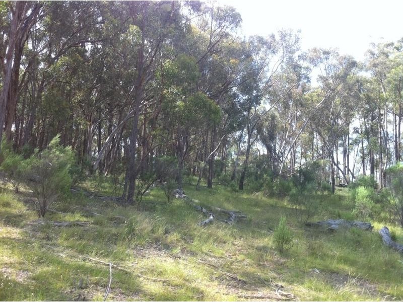 Lot 1,  KAREELA ROAD, Invergowrie NSW 2350
