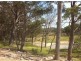 Lot 1,  KAREELA ROAD, Invergowrie NSW 2350