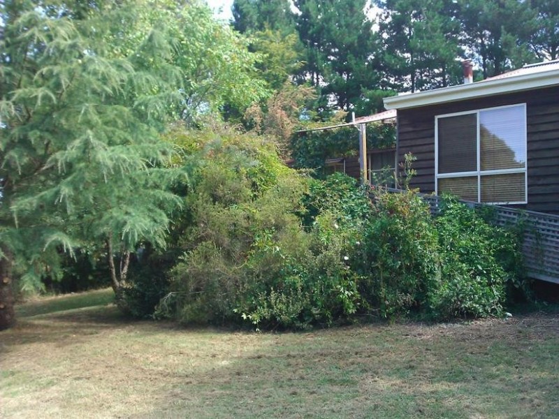 73 HARDINGE STREET, Guyra NSW 2365