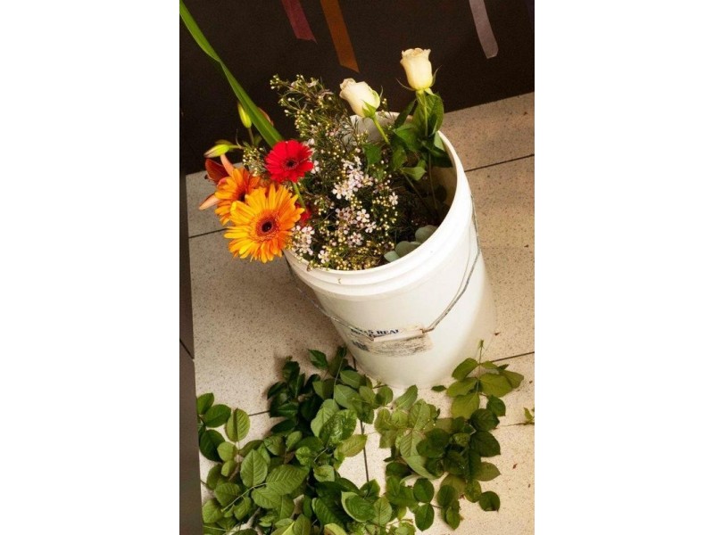 Shop 5/Centro Beardy Street, Armidale NSW 2350