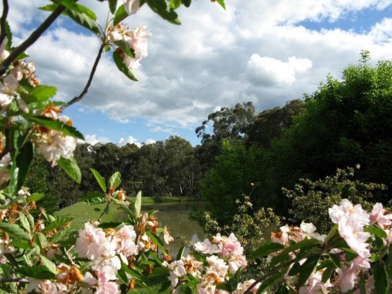 34 PANHANDLE ROAD, Uralla NSW 2358