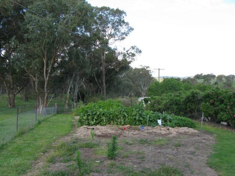 34 PANHANDLE ROAD, Uralla NSW 2358
