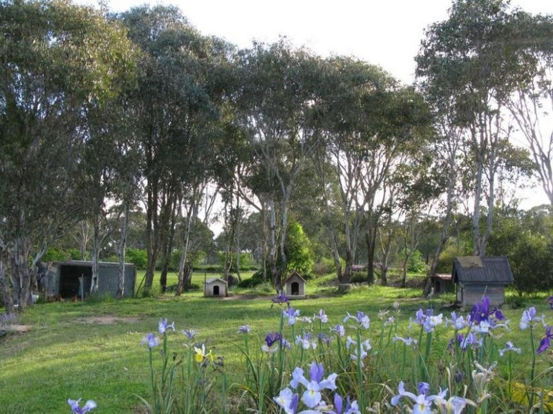 34 PANHANDLE ROAD, Uralla NSW 2358