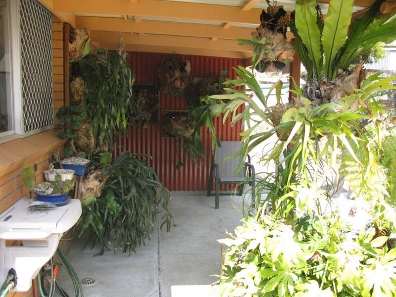 23 JUBILEE ROAD, Armidale NSW 2350