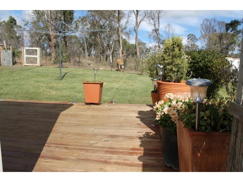 31 DALE CRESCENT, Armidale NSW 2350
