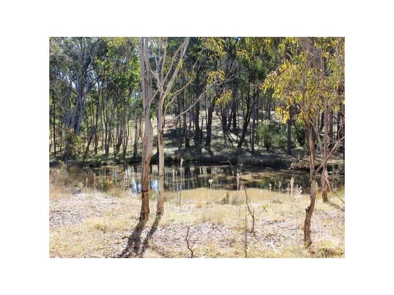 240 HERBERT PARK ROAD, Armidale NSW 2350