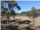 240 HERBERT PARK ROAD, Armidale NSW 2350