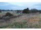 URALLA SHIRE, Uralla NSW 2358