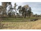 URALLA SHIRE, Uralla NSW 2358