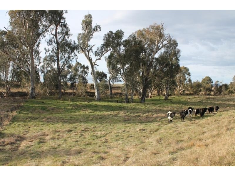 URALLA SHIRE, Uralla NSW 2358