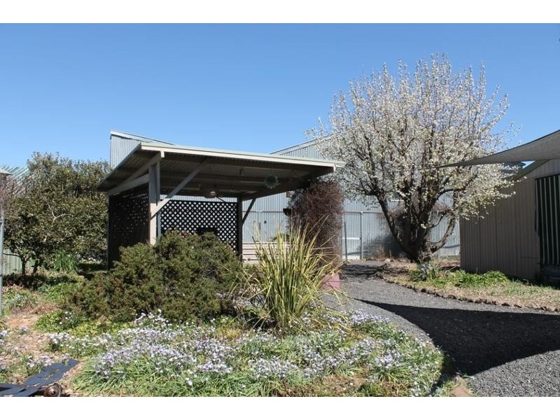 6 SHAMBROOK AVE, Armidale NSW 2350