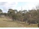 77 BARLEYFIELDS ROAD, Armidale NSW 2350