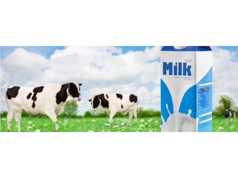 Home Business, Armidale NSW 2350