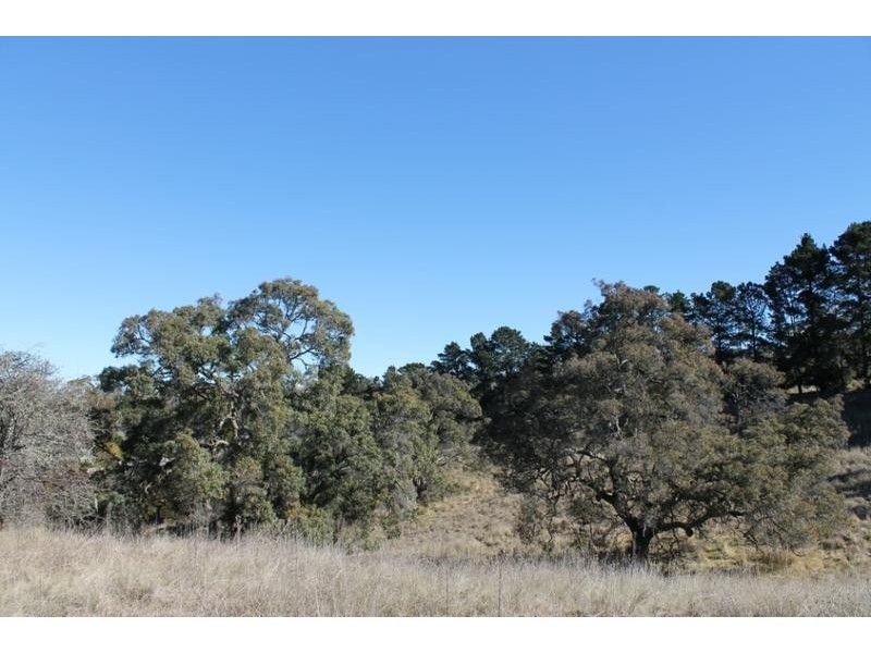Lot 3, 76 OLD GOSTWYCK ROAD, Armidale NSW 2350