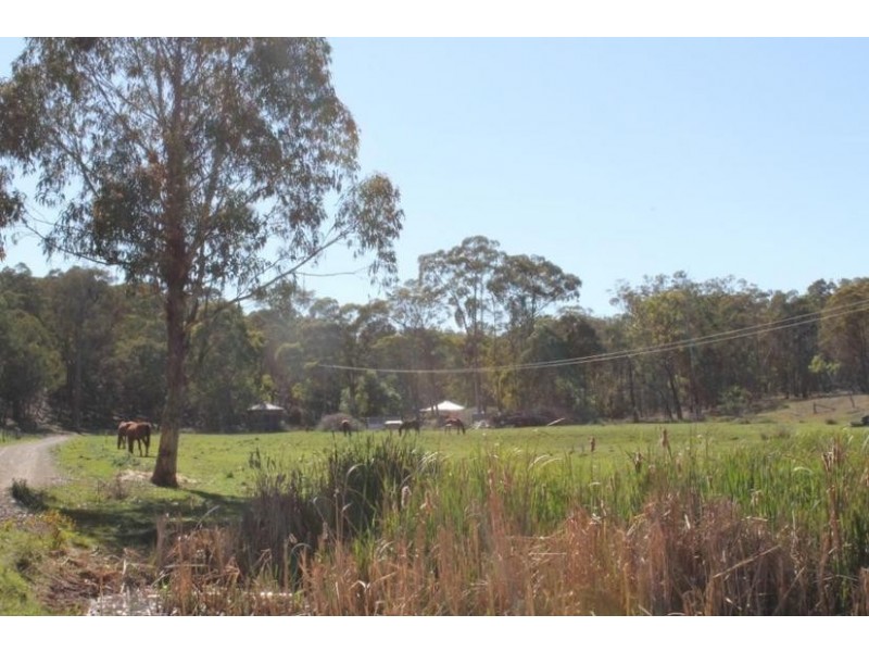 23 ADINA ROAD, Invergowrie NSW 2350