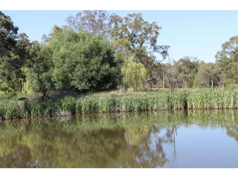 23 ADINA ROAD, Invergowrie NSW 2350