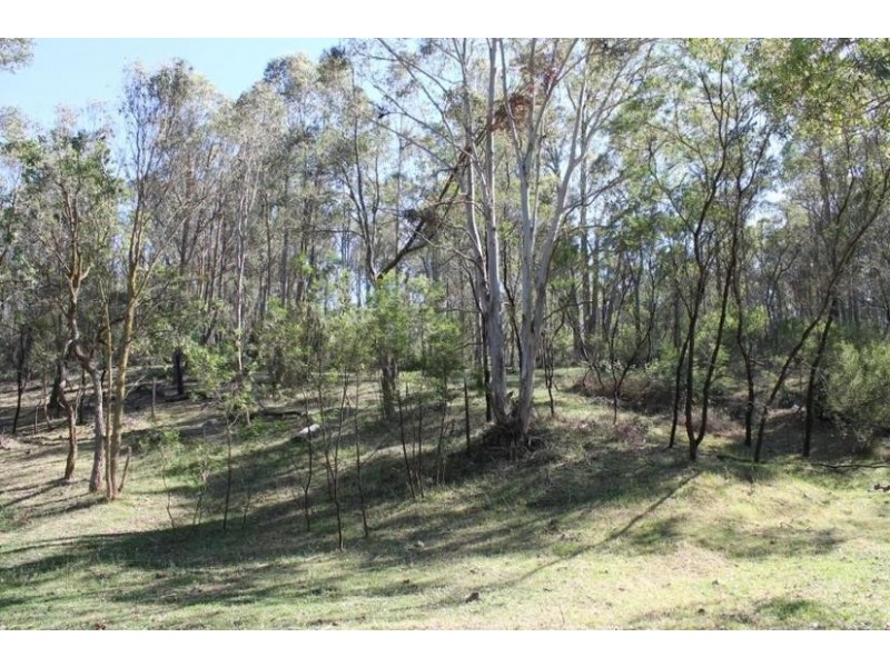 23 ADINA ROAD, Invergowrie NSW 2350