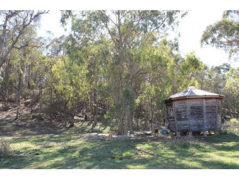 23 ADINA ROAD, Invergowrie NSW 2350