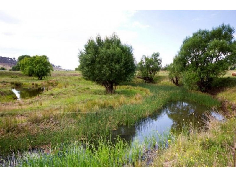 23 O’CONNELL ROAD, Armidale NSW 2350