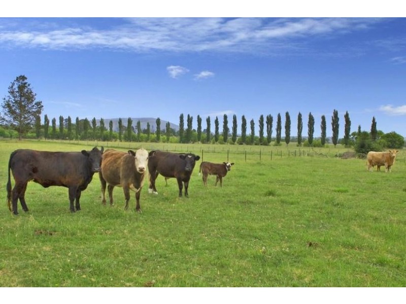 23 O’CONNELL ROAD, Armidale NSW 2350