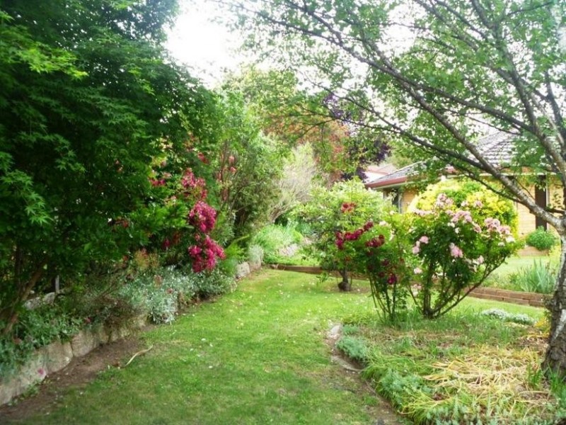 3 SIMPSON AVE, Armidale NSW 2350