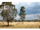 Lot 468,  DANGARSLEIGH ROAD, Armidale NSW 2350