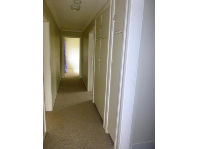 17 ODELL STREET, Armidale NSW 2350