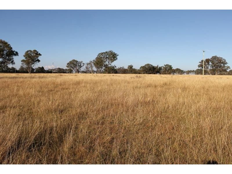 244 DONALD ROAD, Armidale NSW 2350