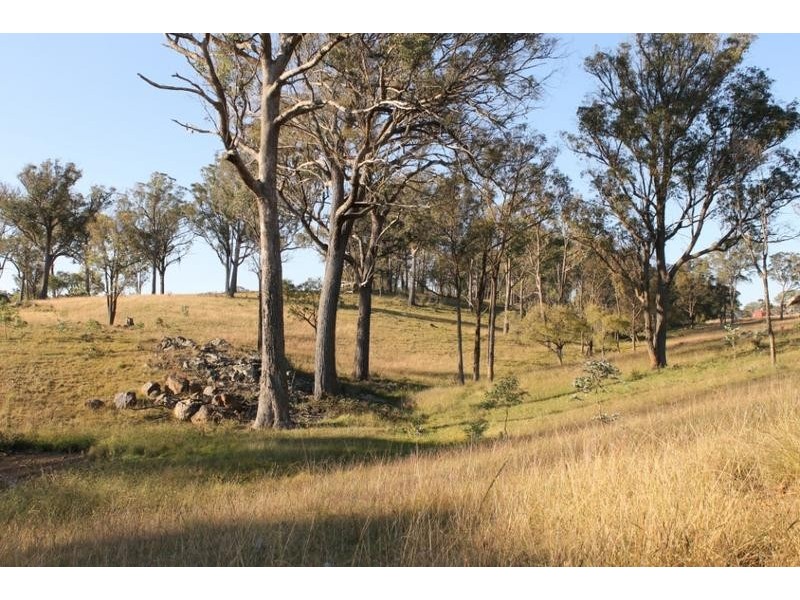 244 DONALD ROAD, Armidale NSW 2350