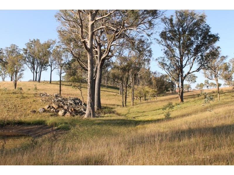 244 DONALD ROAD, Armidale NSW 2350