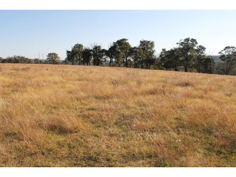 244 DONALD ROAD, Armidale NSW 2350