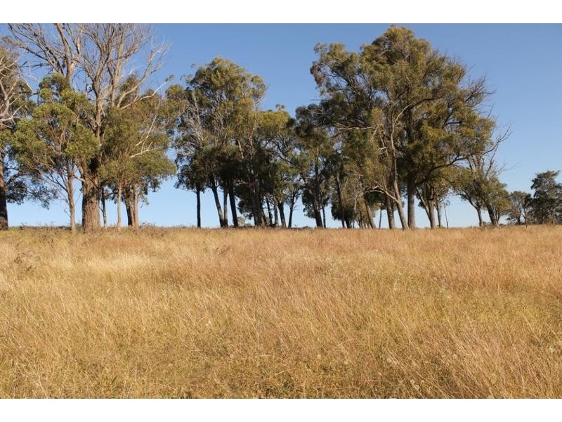 244 DONALD ROAD, Armidale NSW 2350