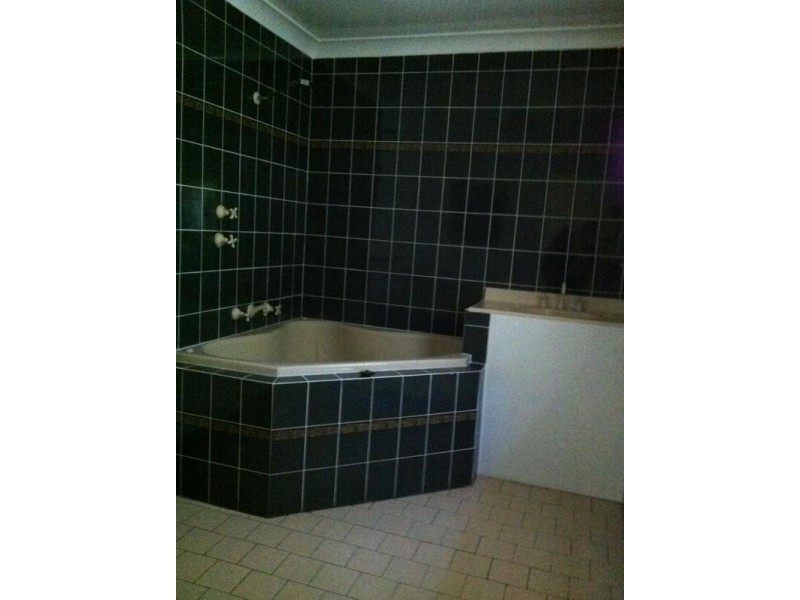 Herbert Park Road, Armidale NSW 2350