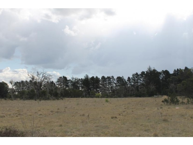 47 MICKELGATE ROAD, Armidale NSW 2350