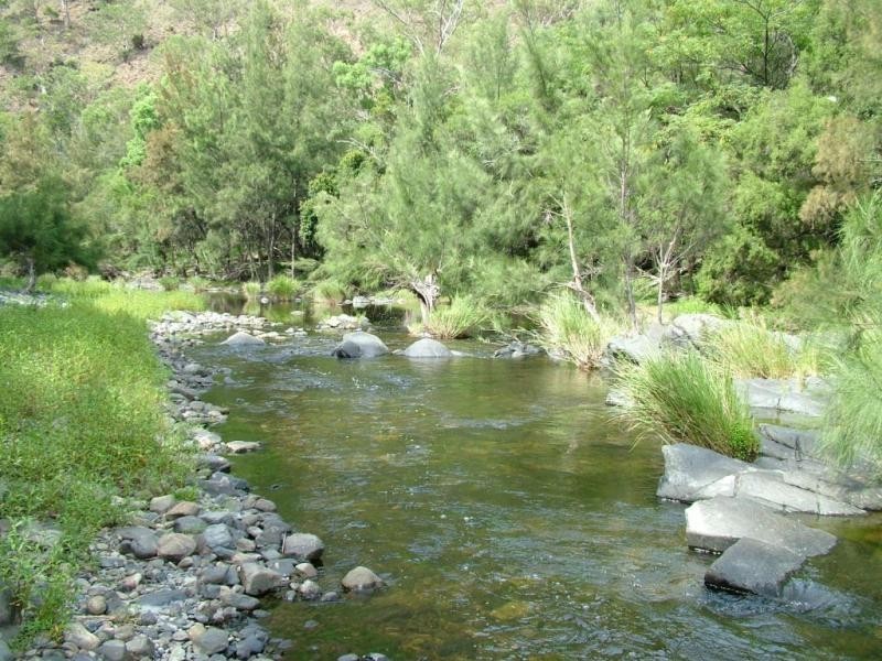 Garrabaldi, Yarrowitch NSW 2354