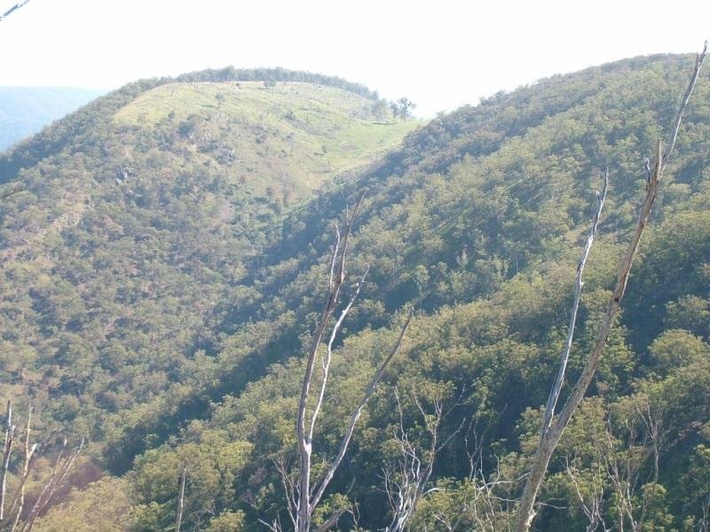 Garrabaldi, Yarrowitch NSW 2354