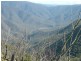 Garrabaldi, Yarrowitch NSW 2354