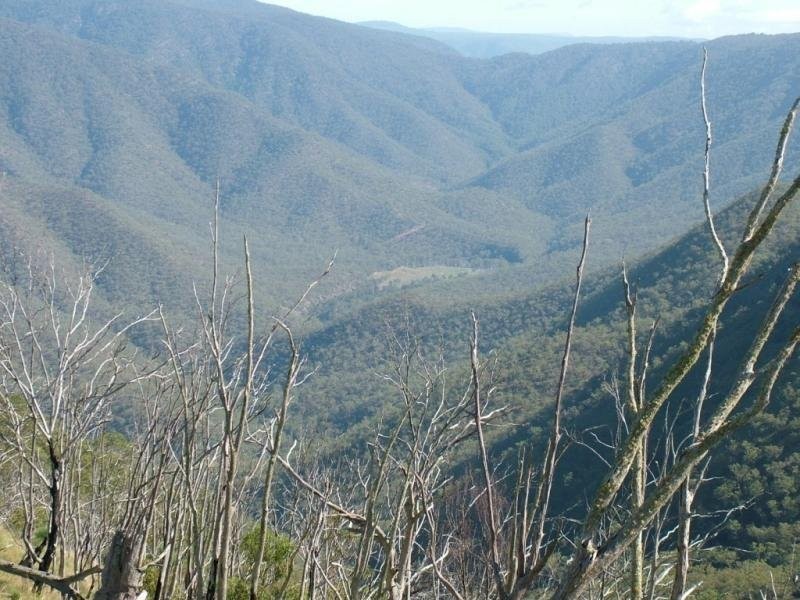 Garrabaldi, Yarrowitch NSW 2354