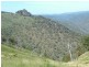 Garrabaldi, Yarrowitch NSW 2354