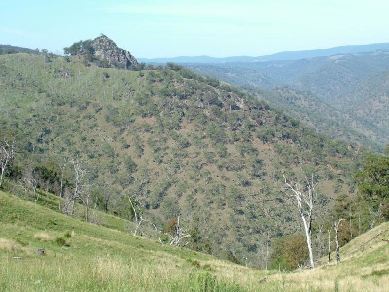 Garrabaldi, Yarrowitch NSW 2354